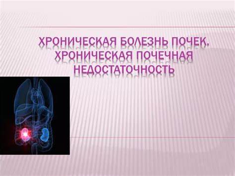 Хроническая недостаточность почек диета PPT - Хроническая болезнь почек. Хроническая почечная недостаточность PPT - Хроническая болезнь почек. Хроническая почечная недостаточность Хроническая недостаточность почек диета