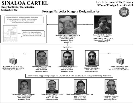 Sinaloa Cartel Chart