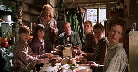 Harry Potter Biggest Ways The Weasleys Changed From Philosophers