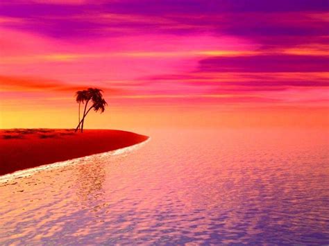 Pink Sunset Wallpapers Wallpaper Cave