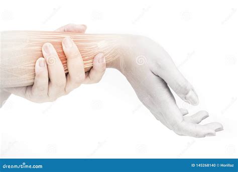 Forearm Muscle Pain Stock Photo Image Of Disease Ache 145268140