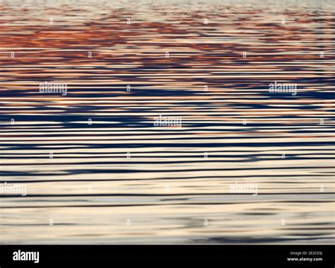 Clean Water Of Calm Pond Rippling And Reflecting Sunset Light In