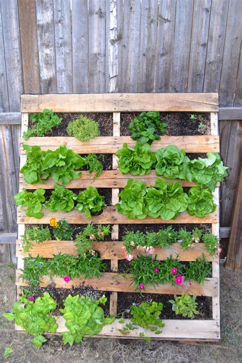 Diy Upcycled Wood Pallet Vertical Gardens Pallet Garden Benches