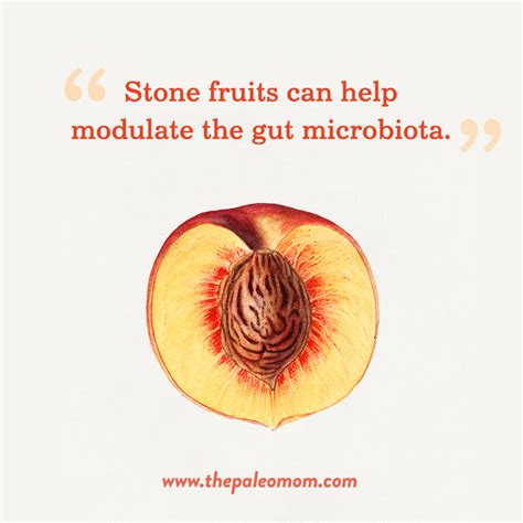 The Health Benefits Of Stone Fruits The Paleo Mom