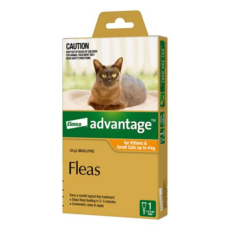 Buy Advantage For Kittens And Small Cats Up To 4kg Orange Free Shipping
