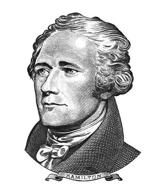 Alexander Hamilton Politicus Illustraties En Vectorbeelden Istock