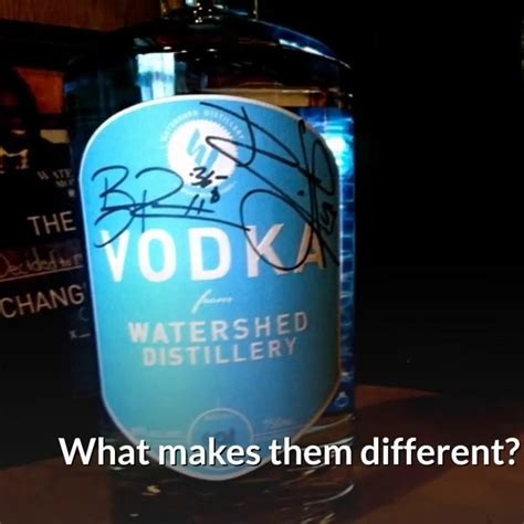 What Is The Difference Between Gin And Vodka Gin Vs Vodka