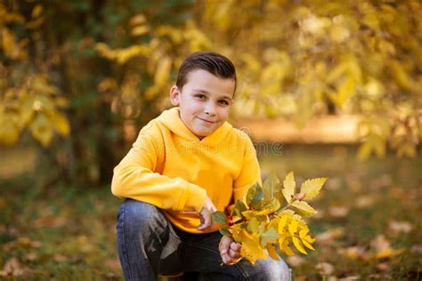 Portrait Of A Boy In Hoodie Posing With Bunch Of Autumn Leaves Copy