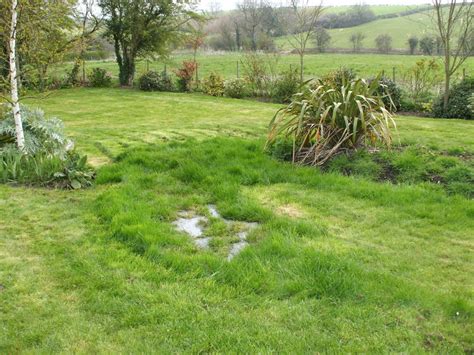 Should i water my lawn uk. Septic Tank Conversion as an answer for failing septic tanks - BIOROCK U.K.