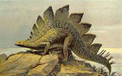 The Top 10 Famous Dinosaurs That Roamed The Earth Prehistoric Animals
