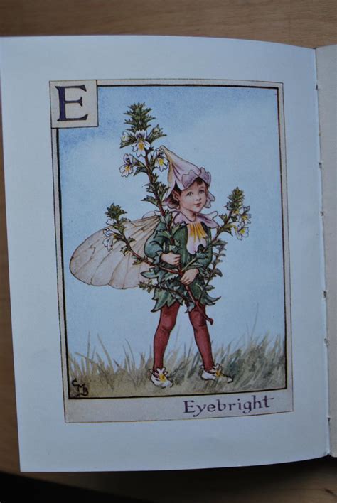 A Flower Fairy Alphabet By Cicely Mary Barker Bon Couverture Rigide