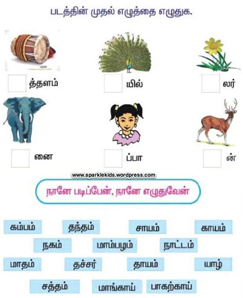 Tamil Worksheets For Class 3