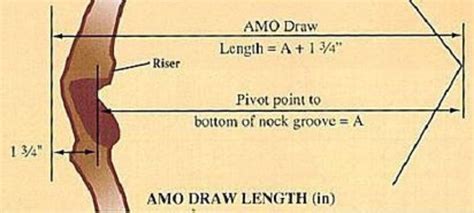 How To Measure Recurve Bow Draw Length Artofit