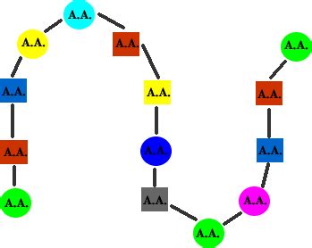 Shapes of Proteins