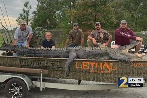 Watch Georgia Hunter Lands State Record 700 Pound Alligator