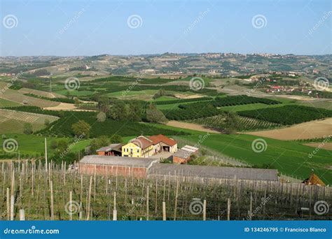 Vineyards And Fields Of Italy S Piemonte Wine Region Editorial Image