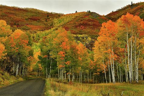 Alpine Loop Fall Colors 1 Photograph By Dean Hueber Fine Art America