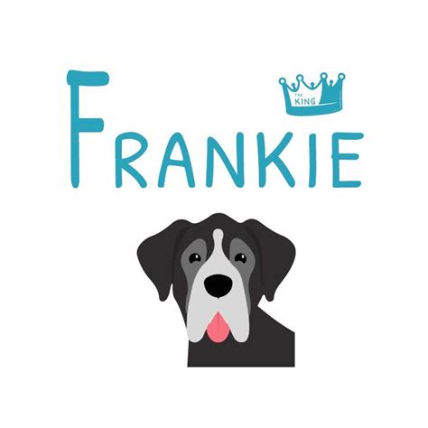 Frankie The King Descuento Opiniones De Su Comida Para Perros