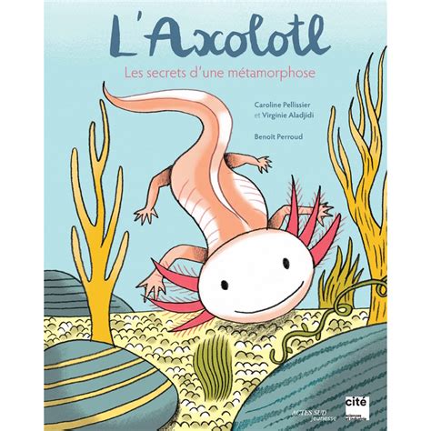 Laxolotl Les Secrets Dune Métamorphose Boutique Cité Des Sciences