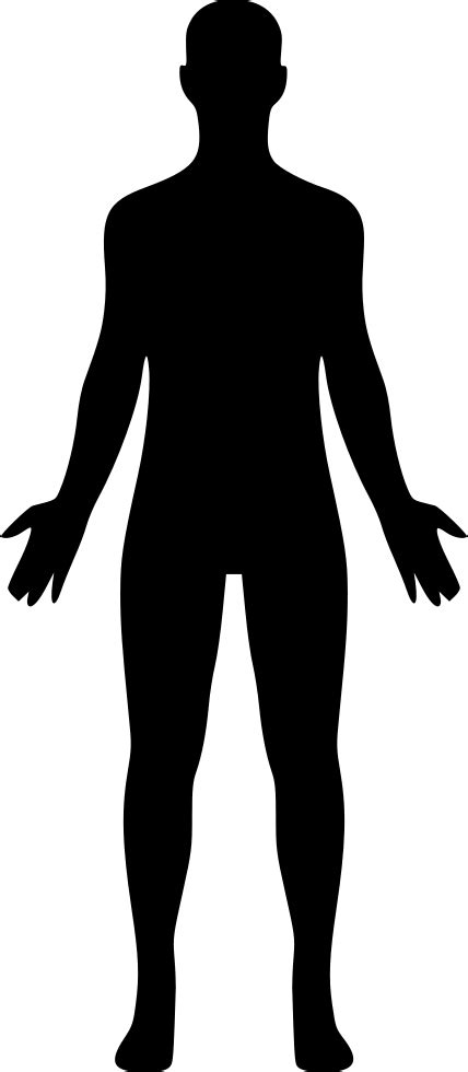 Download Hd Human Body Comments Human Clipart Transparent Png Image