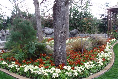 Fall And Winter Flower Beds Landscape Makeover Folsom And Sacramento