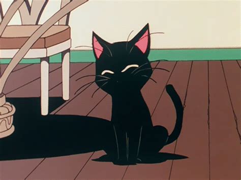 Retro Anime S Black Cat Anime Anime Anime Cat