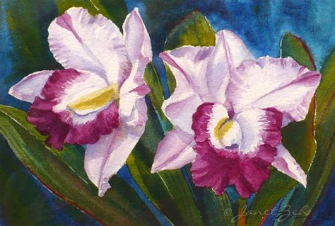 Janet Zeh Original Art Watercolor And Oil Paintings Magenta Orchids