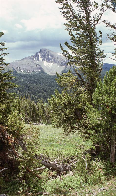 Yellowstone Peak Gets New Name Powell Tribune