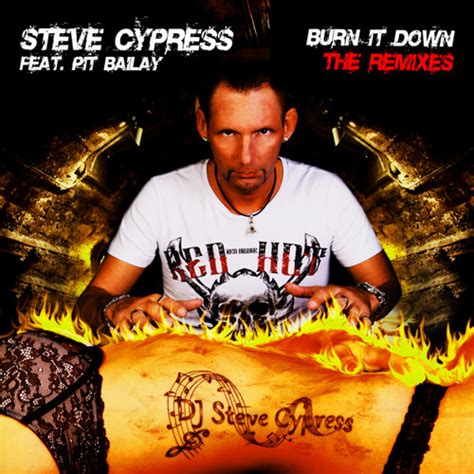 stream steve cypress feat pit bailay burn it down cassey doreen remix preview by
