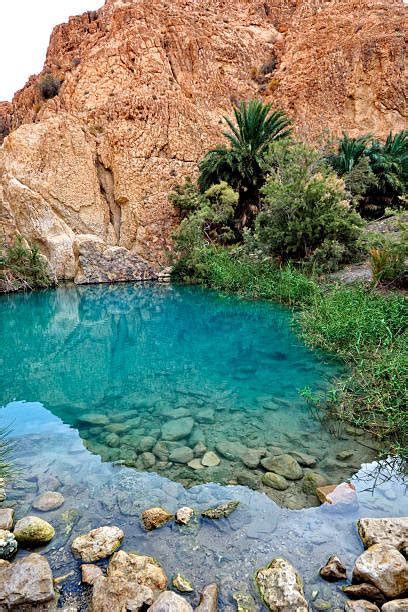 Desert Oasis Pictures Images And Stock Photos Istock