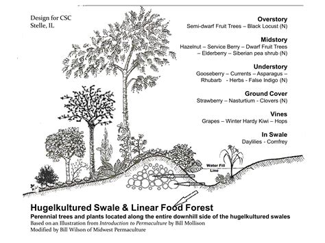Linear Food Forests Along Hugelkultured Swales Midwest Permaculture