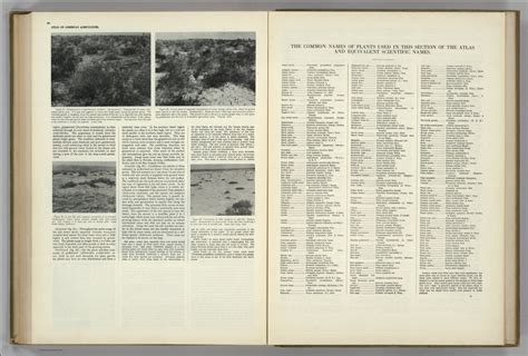 Text Page Natural Vegetation Continued Atlas Of American