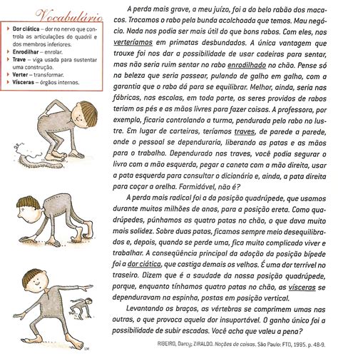 O Trecho Do Texto Se Refere às Extensas áreas De