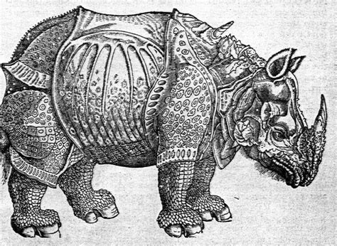 Dieses aufklappbare kartenetui mit dem berühmten motiv eines »rhinozeros« von albrecht dürer ist ein sehr handlicher und praktischer helfer im alltag. Albrecht Durer - Woodcut of a Rhinoceros | Sanat, Desenler ...