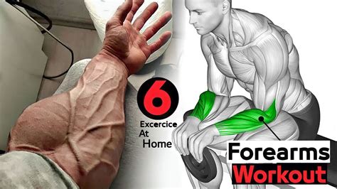 Forearms Workout At Home No Equipment Youtube