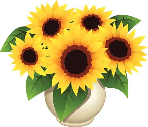 Royalty Free Sunflower Bouquet Clip Art Vector Images And Illustrations