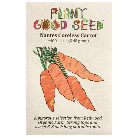 Nantes Coreless Carrot The Plant Good Seed Company