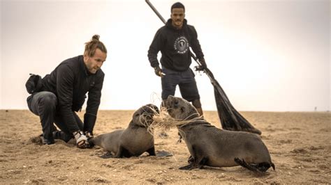 Ocean Conservation Namibia During A Seal Rescue Plastic Oceans