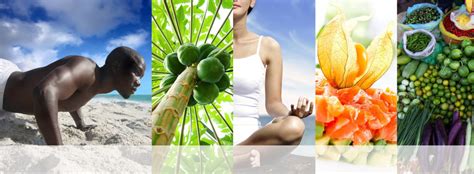 A Wellness Perspective To Antibiotic Resistance • The ...