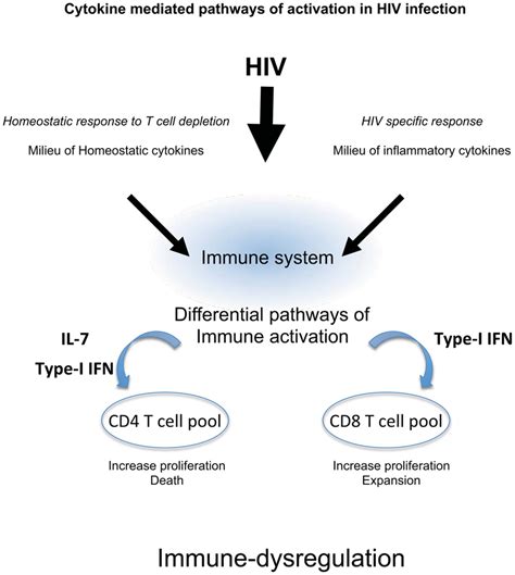 Cytokines Mediated Pathways Of Immune Activation In HIV Infection