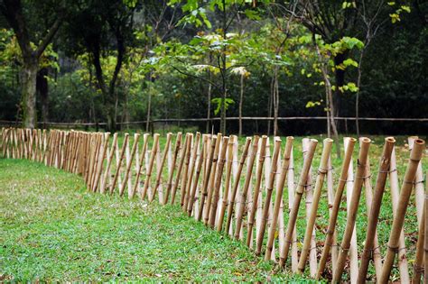 Inspiring and creative ideas in 13 images, we share here. Bamboo Garden Fence Ideas (Bamboo Garden Fence Ideas ...