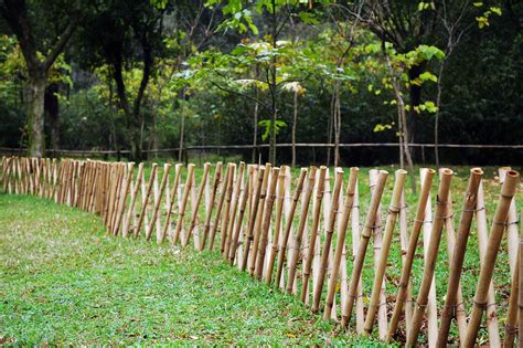 The complete kitchen garden book teaches gardeners stylish ways to transform an ordinary garden into an extraordinary experience. Bamboo Garden Fence Ideas (Bamboo Garden Fence Ideas ...