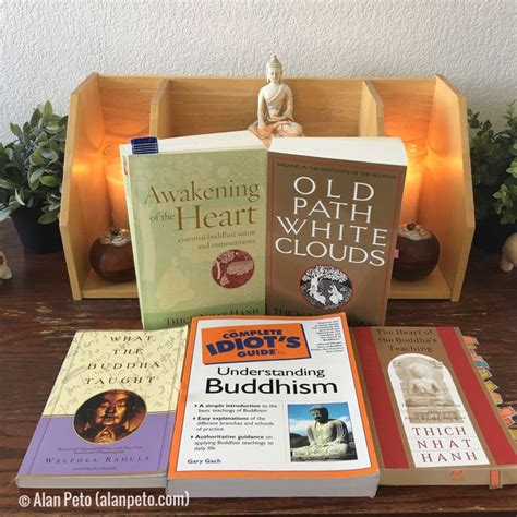 This category lists buddhist works described as sutras, i.e., the words of buddha. Top 5 Best Buddhist Books for Beginners - Alan Peto ...