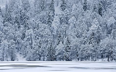 Image Winter Nature Lake Snow Forests 1920x1200