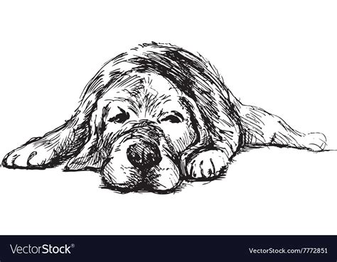 Hand Sketch Lying Dog Royalty Free Vector Image