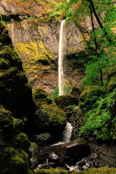 Elowah Falls Photograph By Joe Kopp Fine Art America