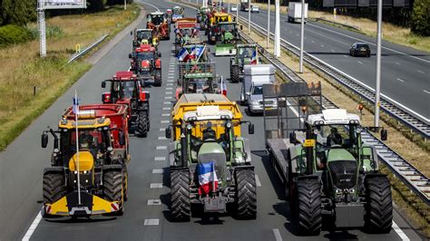 Dutch Farmers Protest Party Scores Big Election Win Shaking Up Senate
