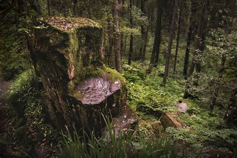 Saint Patricks Chair St Patricks Chair Is An 8 Foot Stone Throne