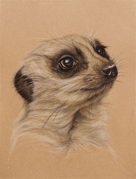 Meerkat By Wendy Beresford On Strathmore Toned Tan Картины животных