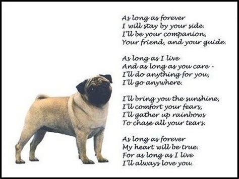 Beautiful Pug Print As Long As Forever Art Poem Pug Love I Love Dogs